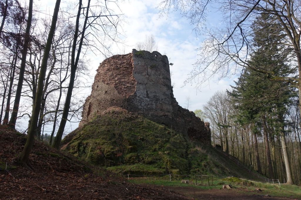 Zřícenina hradu Frýzmburk
